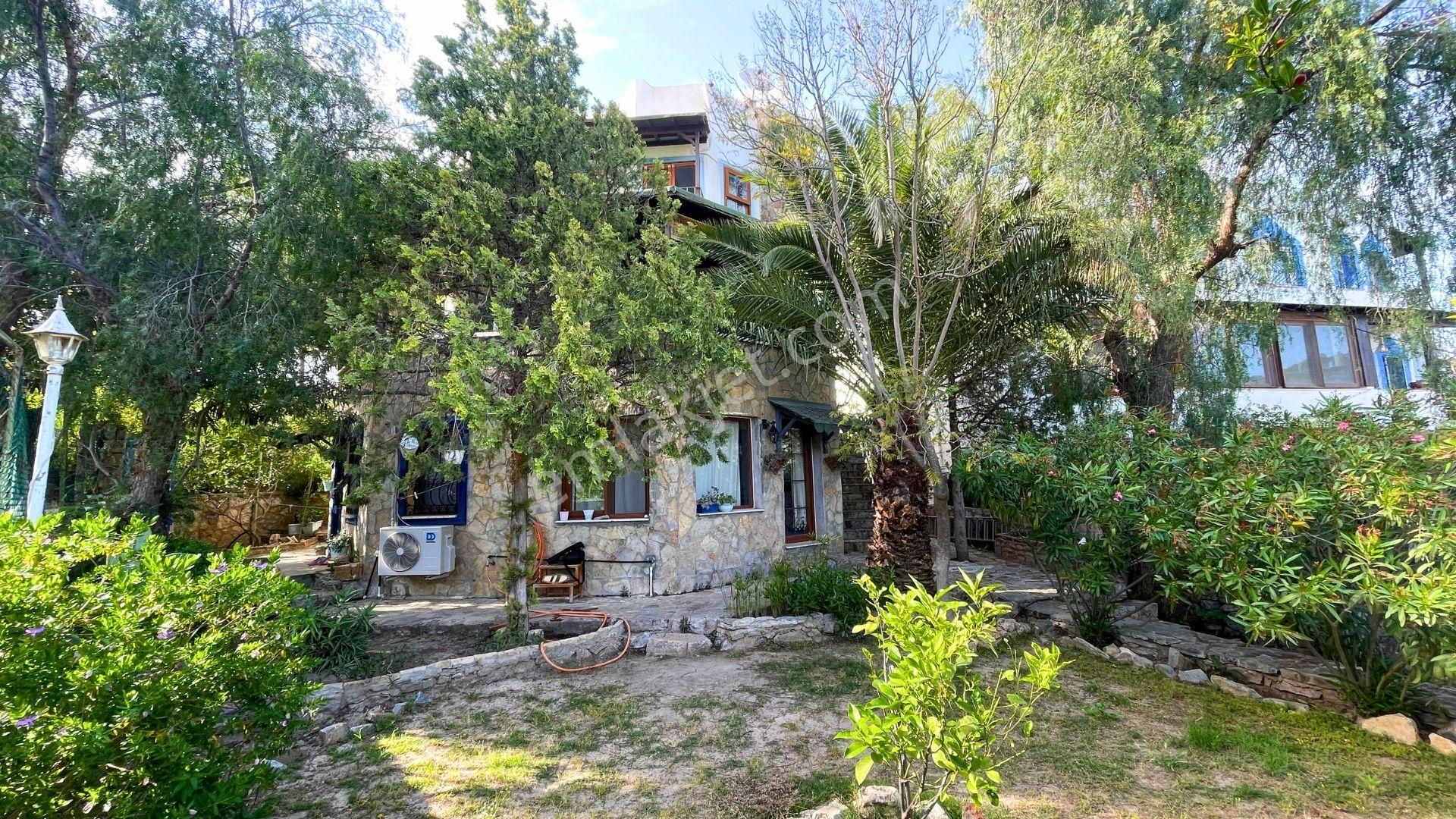 Bodrum Merkezde, Yatırım Fırsatı, 3 Ayrı Tapulu Müstakil Ev
