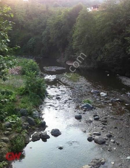 Ordu Fatsa Uzundere Köyünde Satılık Fındık Bahçesi
