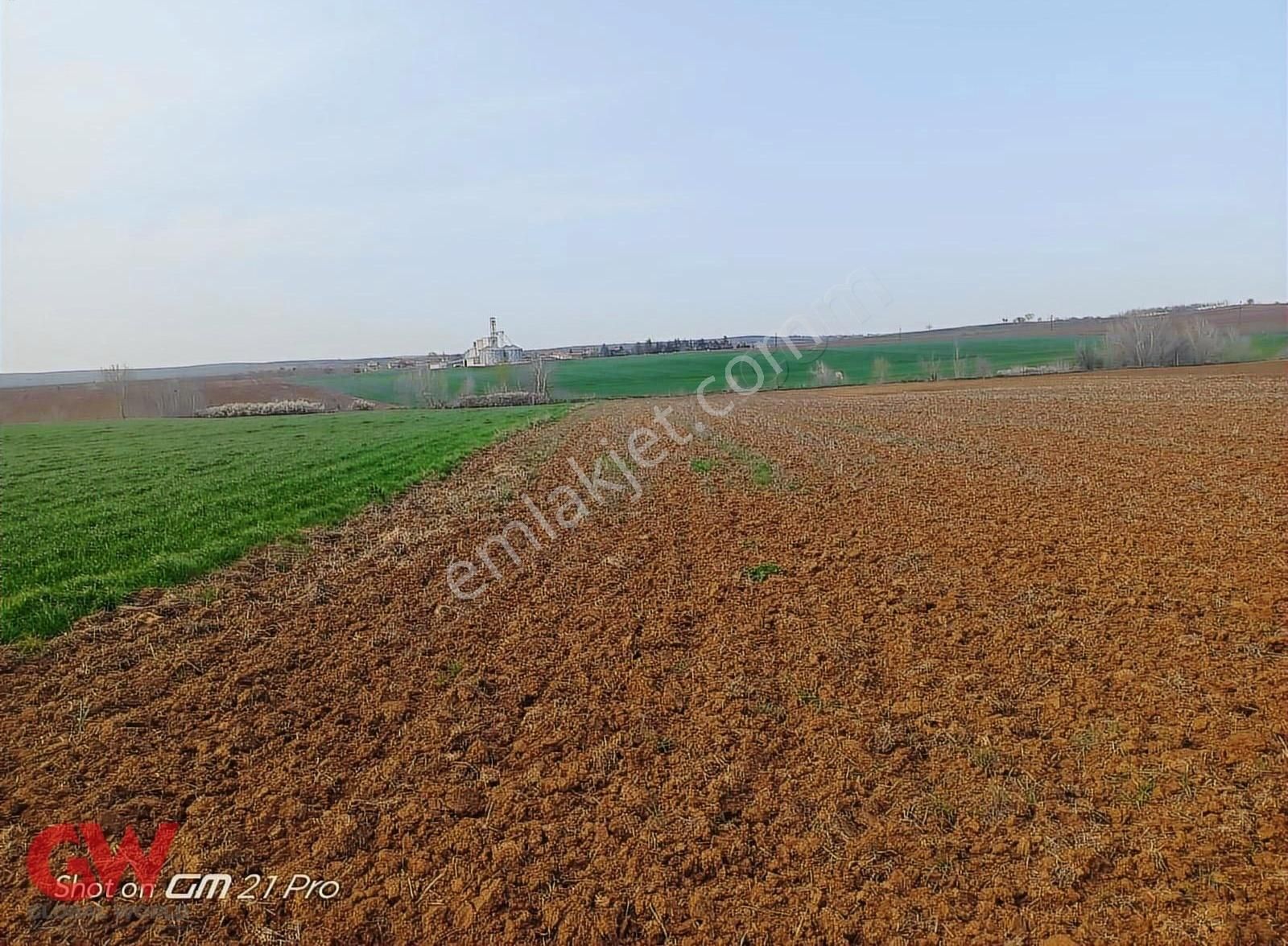 Gw Elite-süleymanpaşa Selçuk Köy Cıvarı 9592 M2 Satılık Tarla