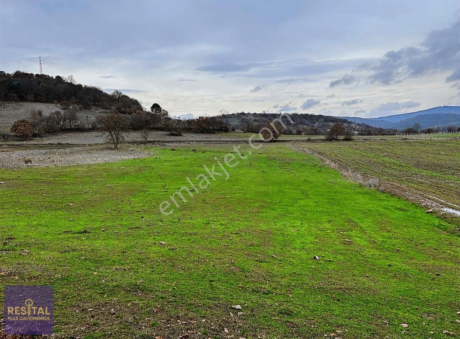 Gökçeyazı'da Satılık 4600m2 Tarla