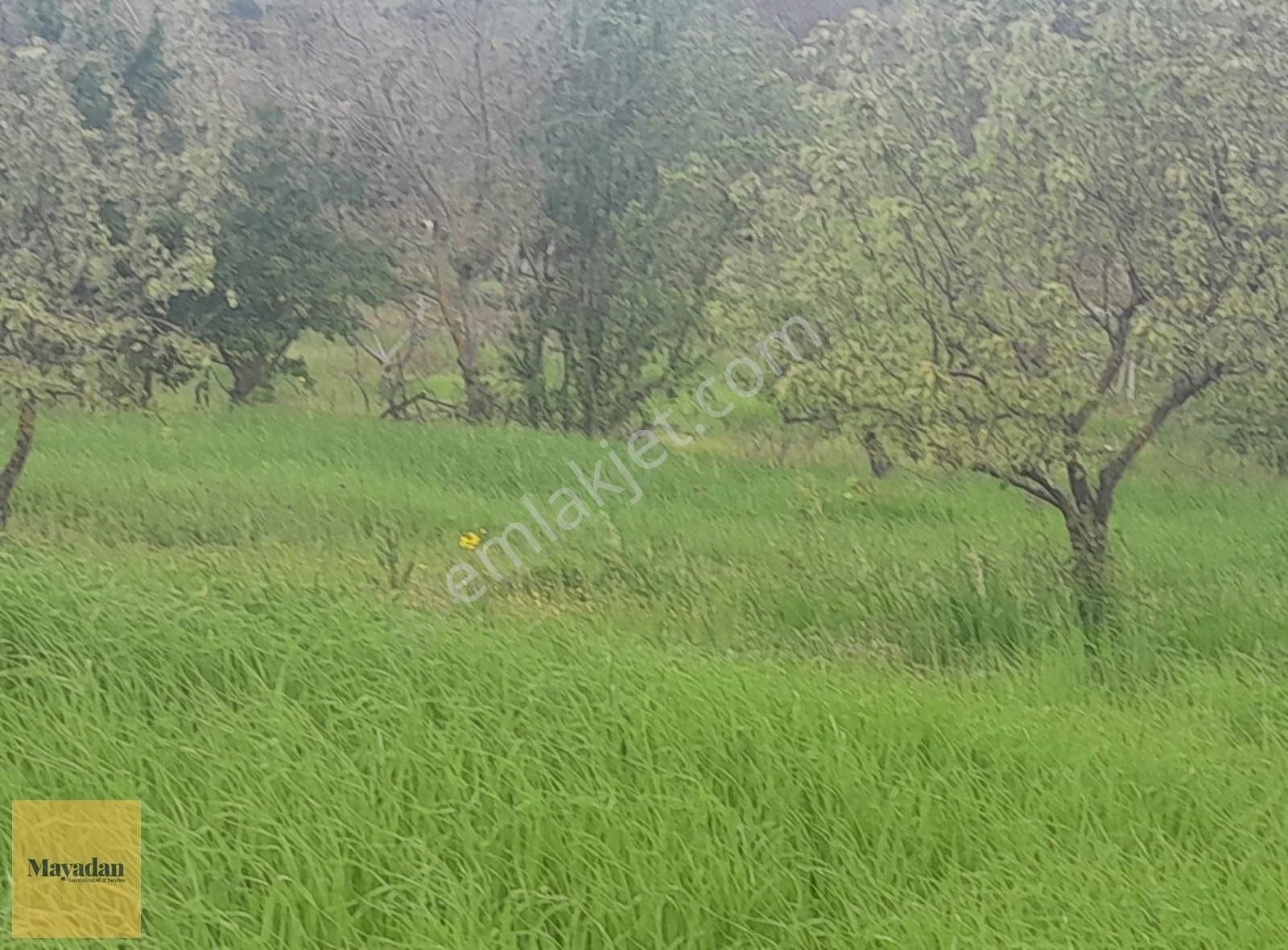 Mayadan Gyo'den Gönen Karaağaçalan Köyünde 1000 M2 Satılık Arsa