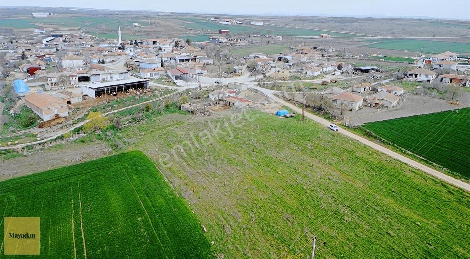 Edirne Mayadan Süloğlu Sülecik'te Yatırımlık 1000m2 Arsa