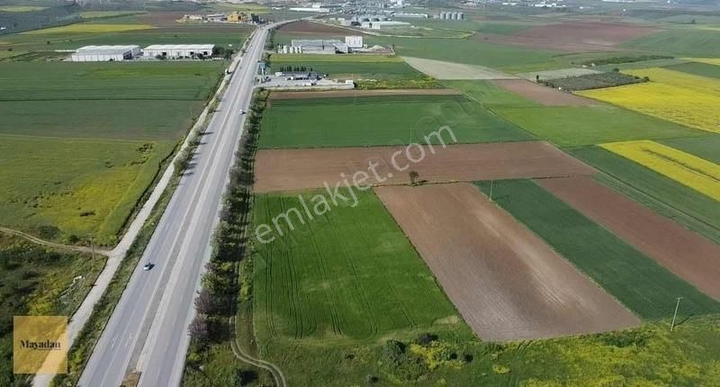 Mayadan Gyo'dan Osb'ye Yakın Ana Yola Cephe Satılık Tarla