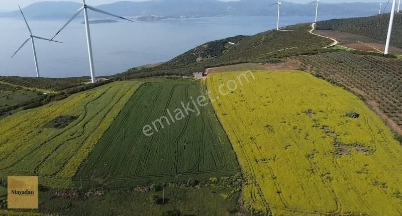 Mayadan Gyo'dan 302 M2 Satılık Doğanın İçinde Arsa