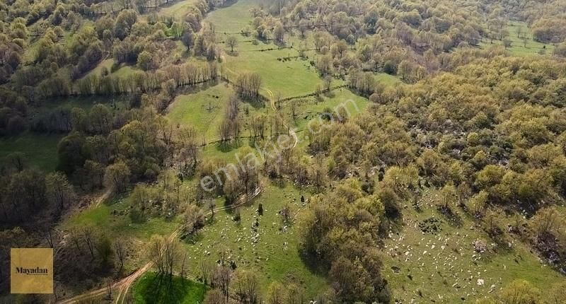 Mayadan Gyo'dan Gönen Şarolukta Satılık Tarla 2900 M2
