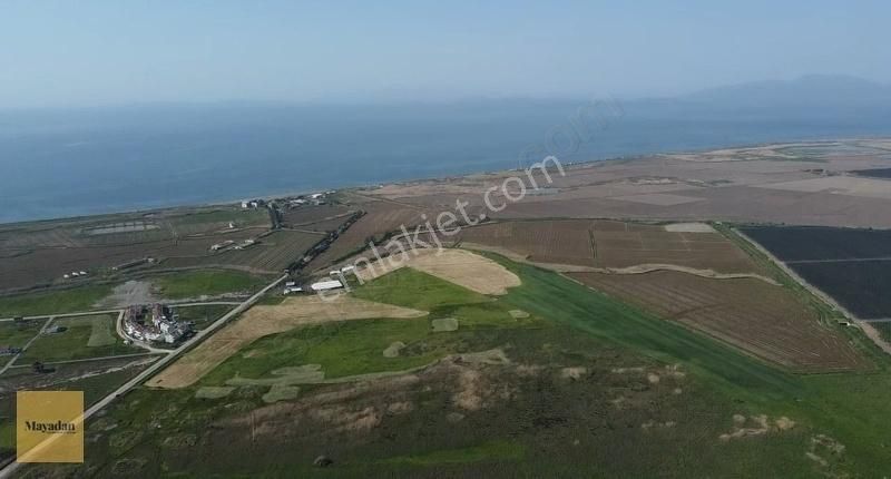 Mayadan Gyo'dan Çifteçeşmelerde Satılık Arsa 294m2