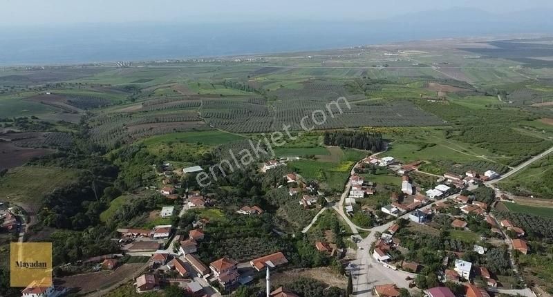 Mayadan Gyo'dan Çifteçeşmelerde Satılık Ahşap Ev Ve Arsası