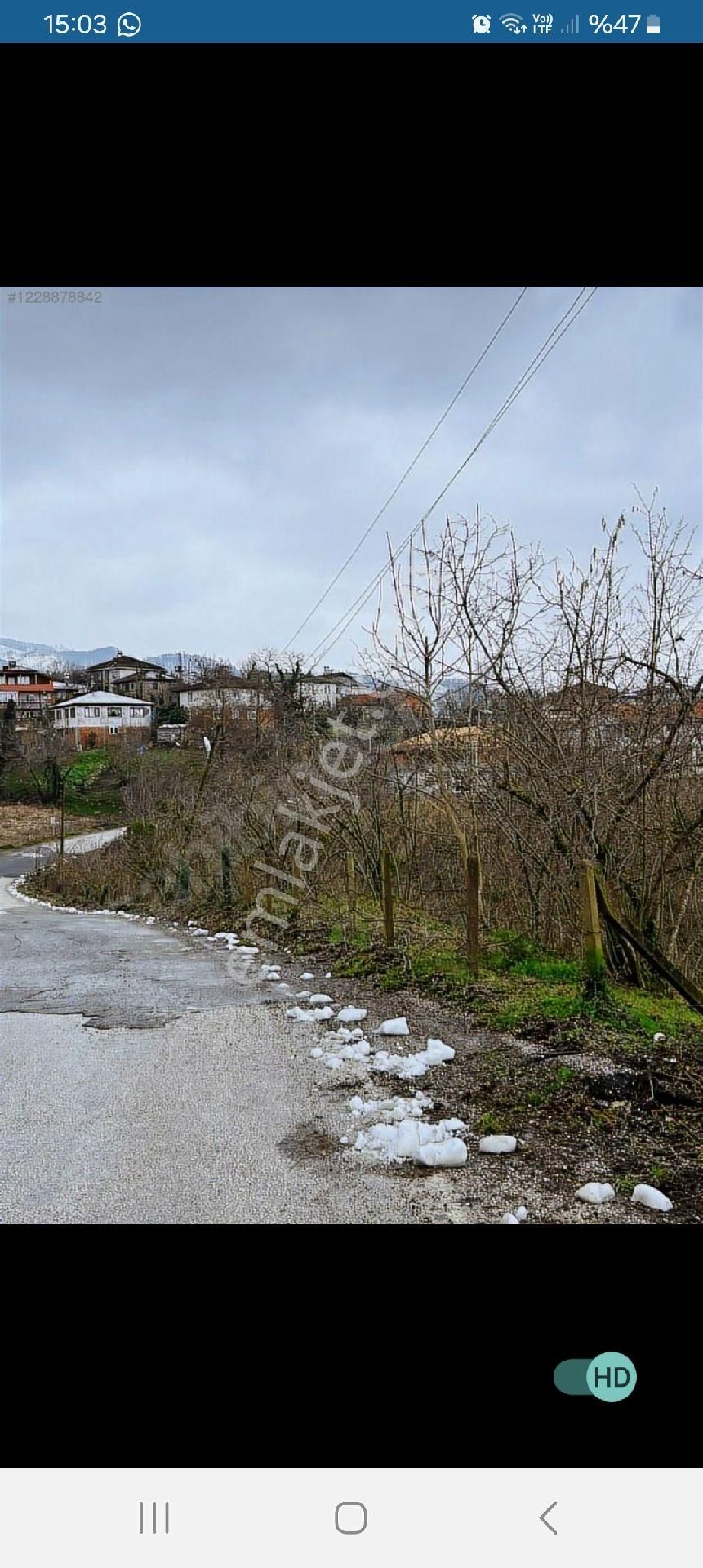 Köyici Bakimli Findik Tarlasi Satilik
