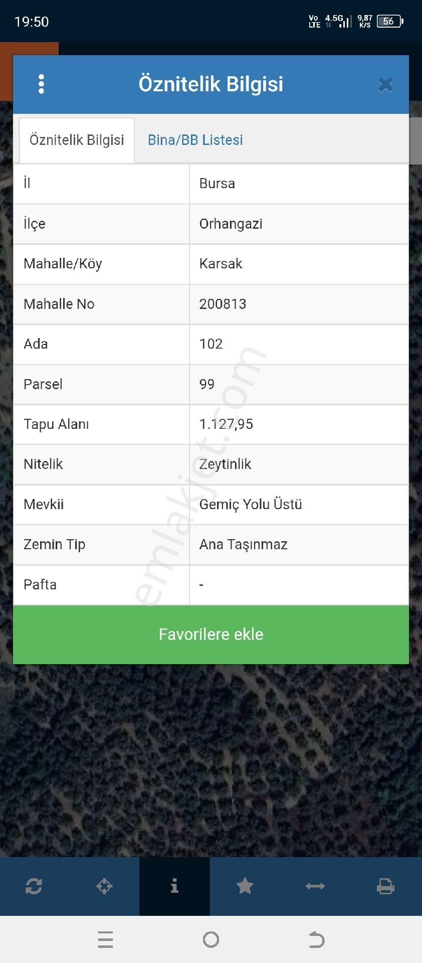 Bakımlı Zeytinlik