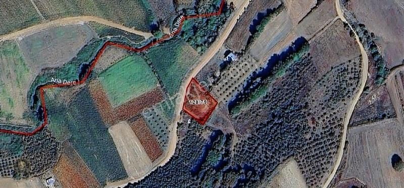 Kandıra Ömerli'de Resmi Yollu %5 İmar Kutu Gibi 1.300m2 Parsel