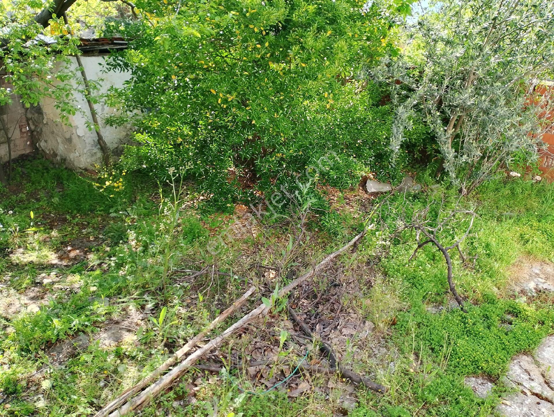 Kozak Yaylasında Satılık Müstakil Ev - Görsel 2