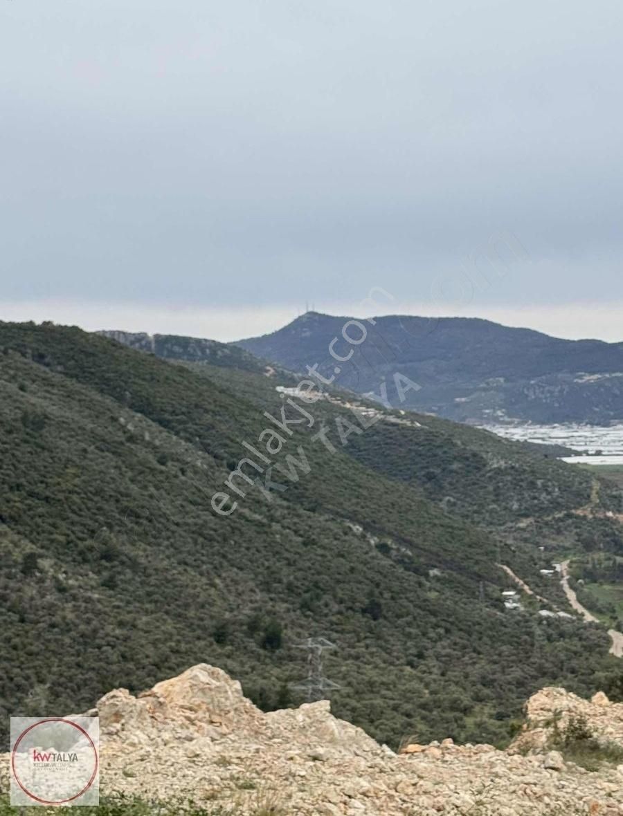 Kaş Üzümlü'de Lüx Villalara Komşu Fırsat Satılık 42.400 M2