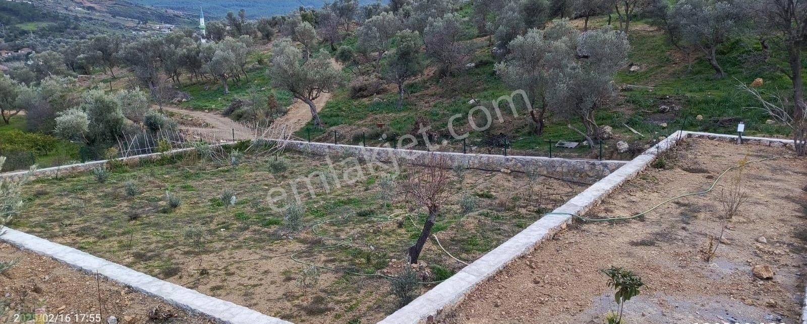 Seferihisar Orhanlı Köyünde Anayola Yakın Fırsat Arazi