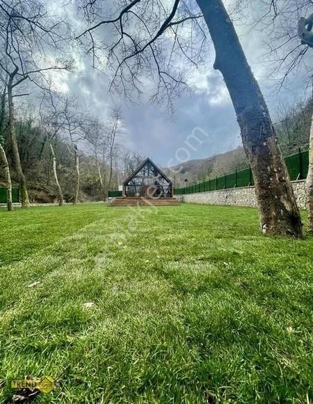 Hasanağa Doğanın İçerisinde Satılık Hobi Bahçesi - Görsel 10