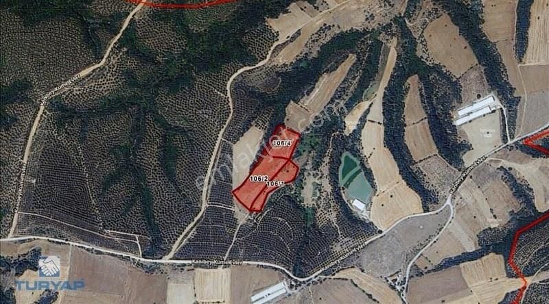 Çanakkale Biga Kanibey 31.440m2 Satılık Fırsat Tarla