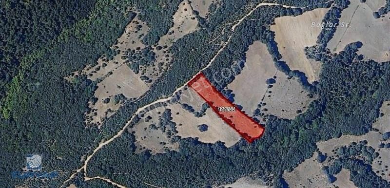 Çanakkale Yenice Yukarıinova 8.371 M2 Satılık Tarla