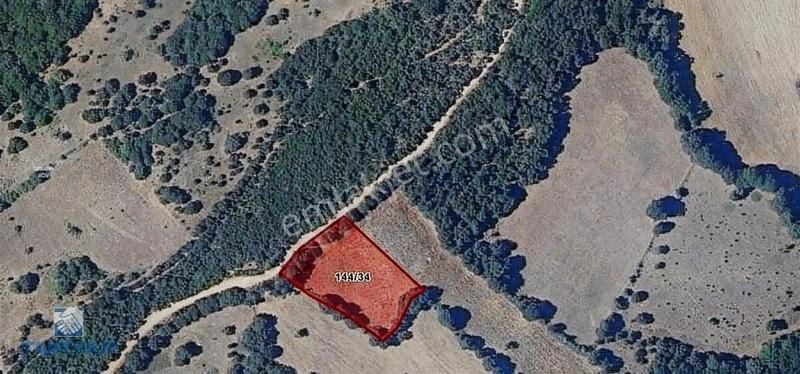 Çanakkale Yenice Yukarıinova 3.461m2 Satılık Tarla