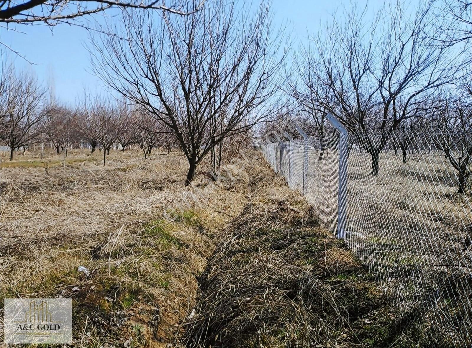 Satılık 4.445.m2 Satılık Etrafı Çevrili.meyve Ağaçlı Bahçe