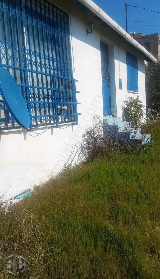 İzmir Selçuk Çamlık Köy 423 Mm Müstakil Ev - Görsel 4