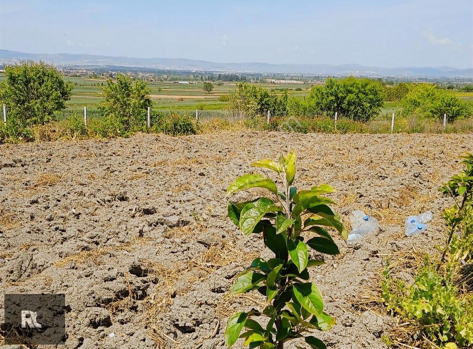 Balıkesir Altıeylül Büyükbostancı Da Resmi Yolu Olan Tarla