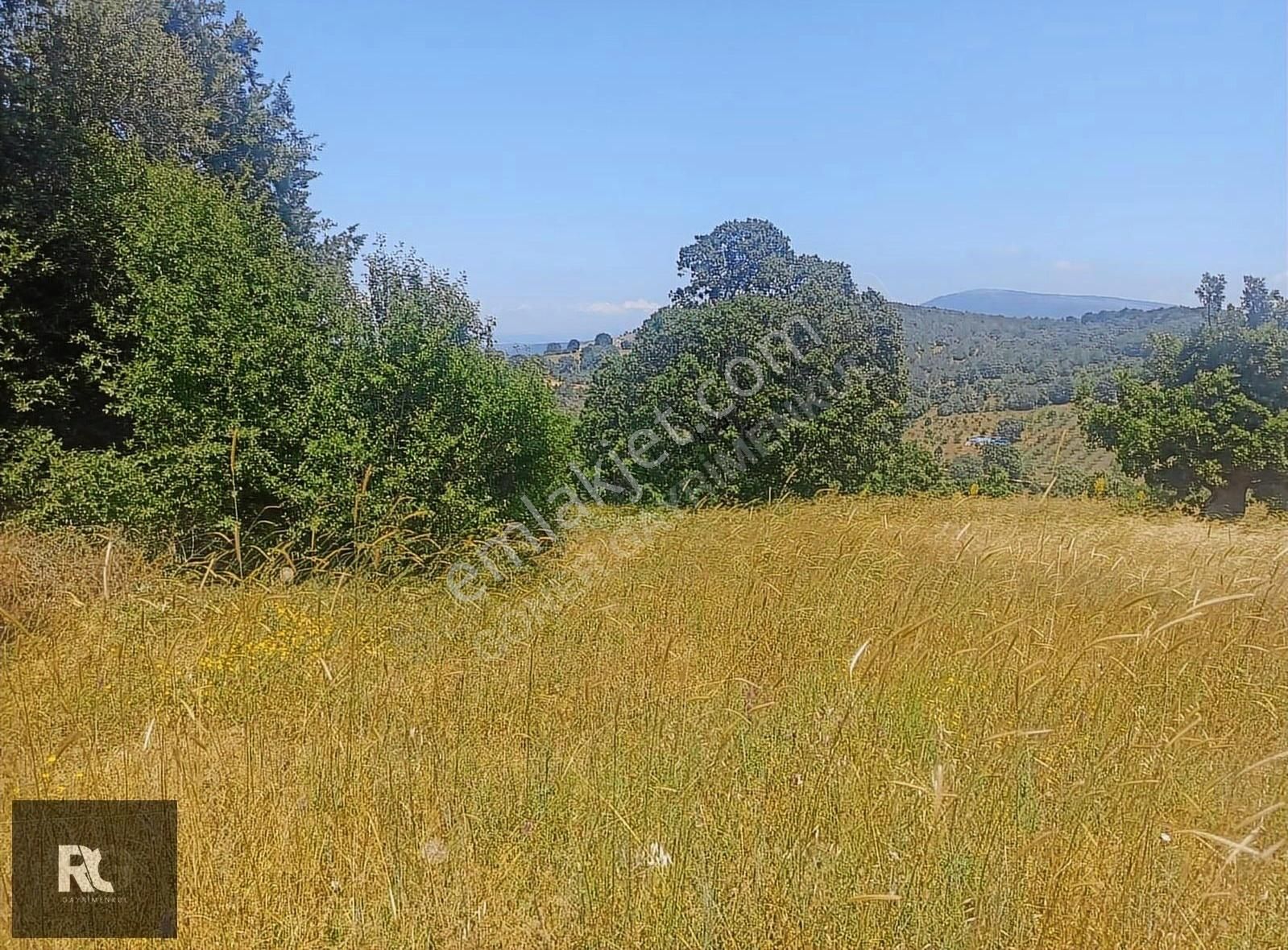 Balıkesir Dursunbey Karapınar Da Kadastral Yolu Olan Tarla