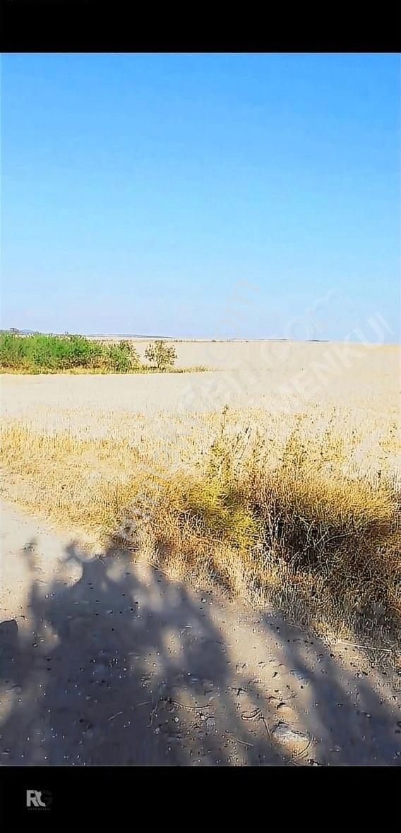 Balıkesir Altıeylül Paşaköy De Yola Bir Parsel Satılık Tarla