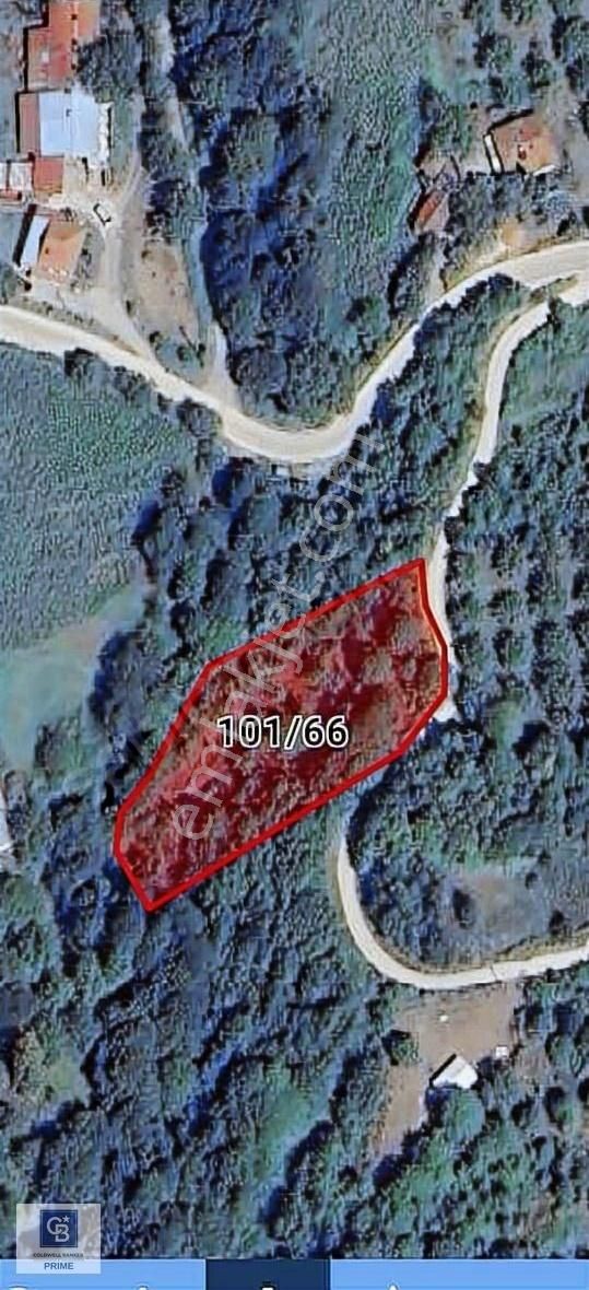 Başiskele Serindere'de Satılık Yola Cephe Arsa