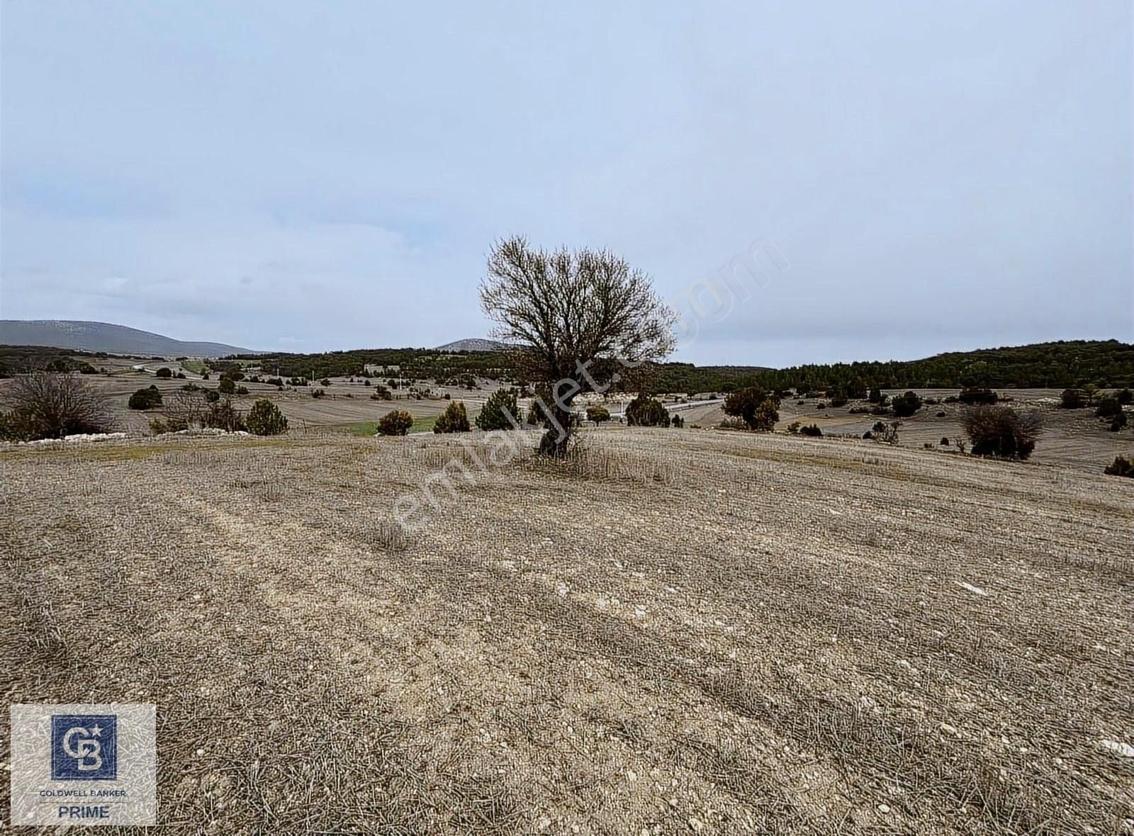 Kütahya Aslanapa'da 4.329 M2 Tarla