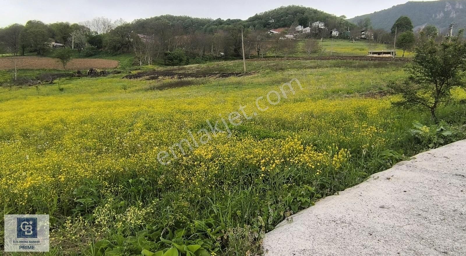 Başiskele Tepecik Köyünde Doğanın Tam Kalbinde İmarlı Arsa