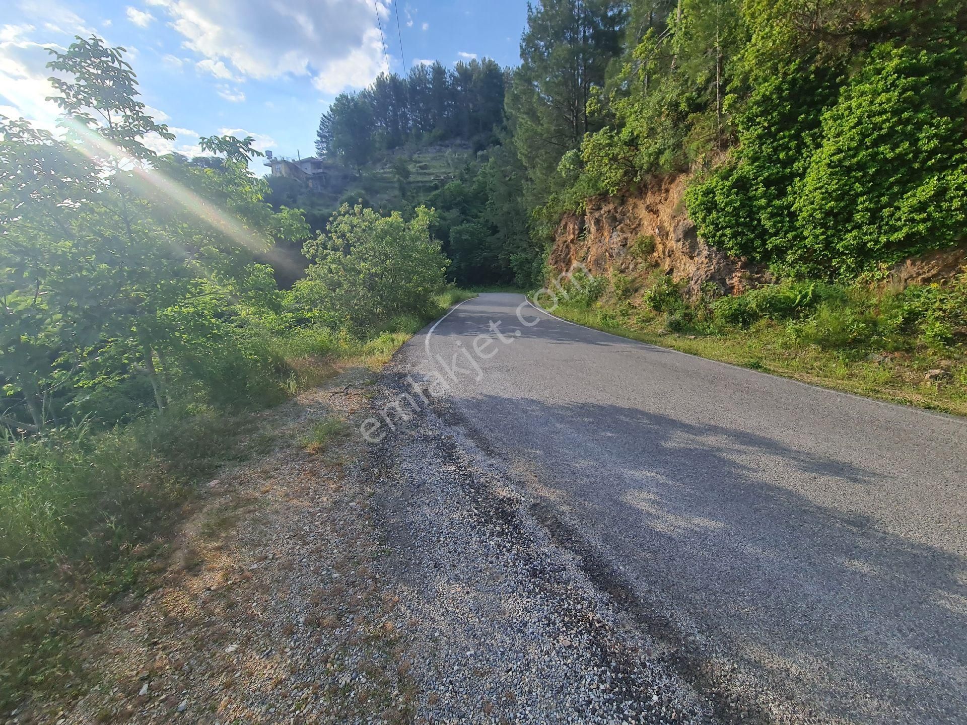 Satılık Tarla