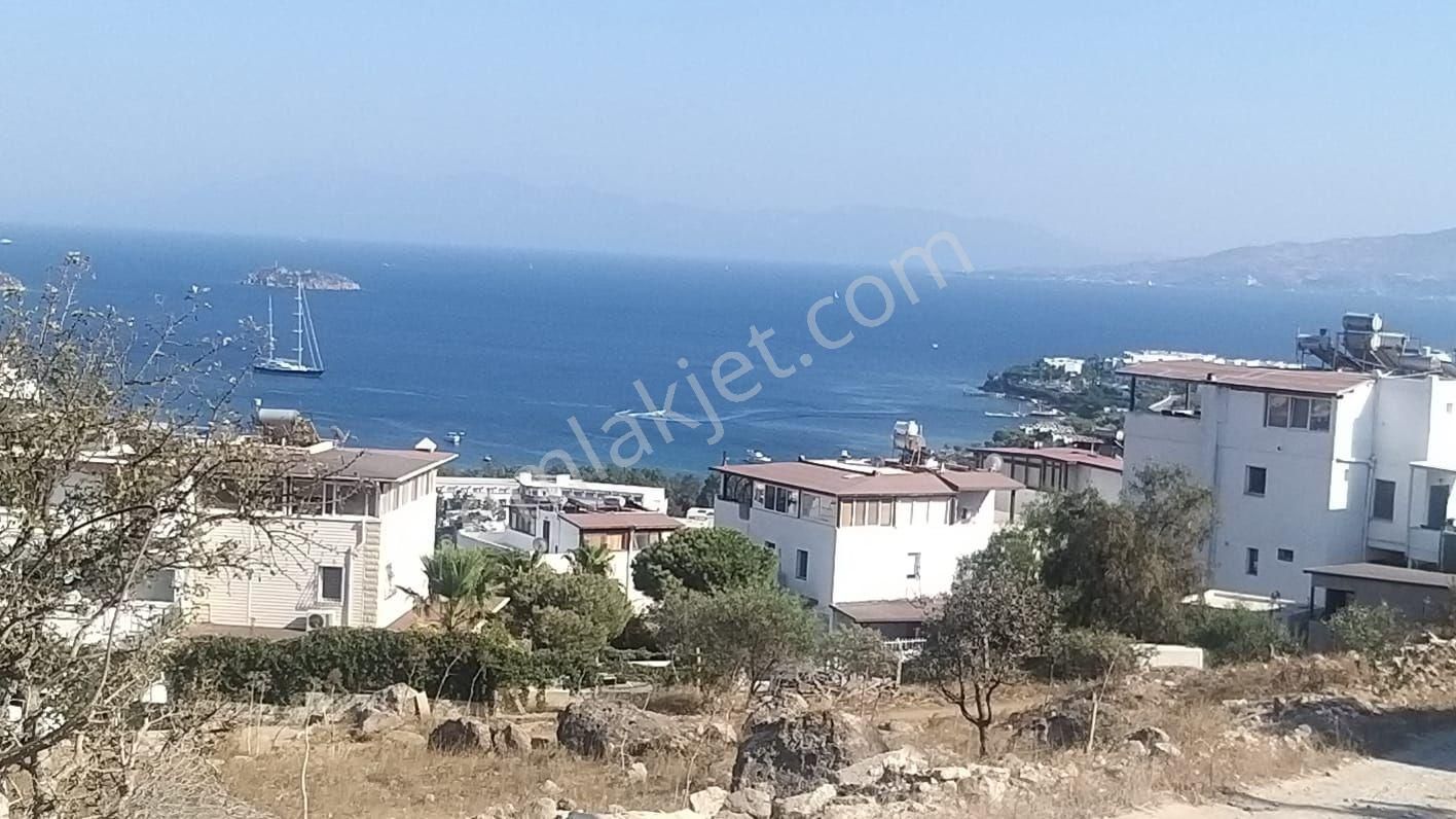 245 M2 Tarla