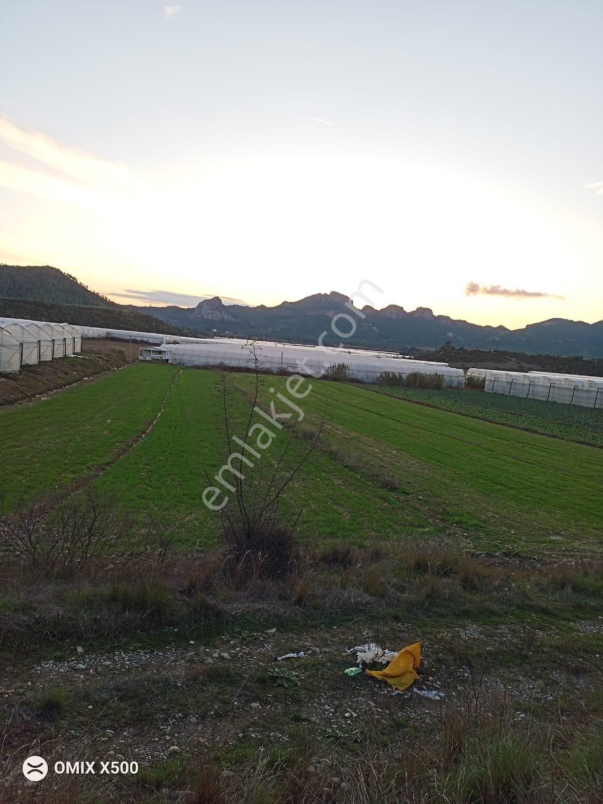Manavgat Sağrin Satılık Müstakil Tarla
