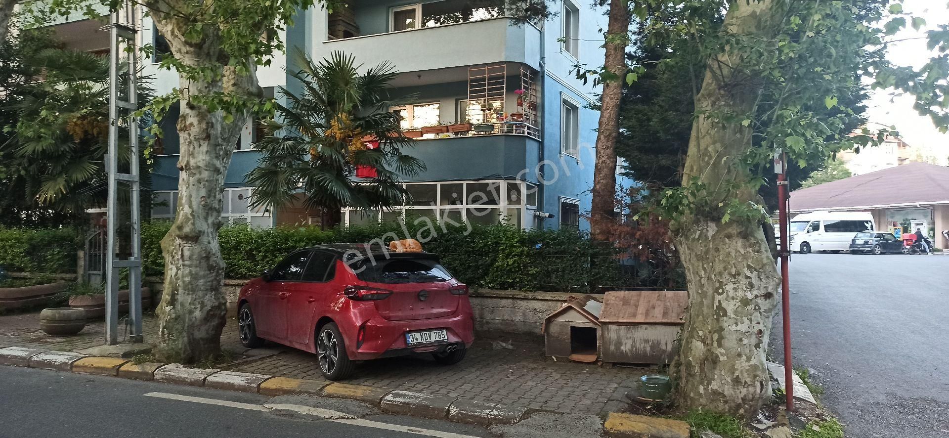Bahçeköy Merkez Belgrad Ormana Sınır Satılık Kelepir Giriş Kat