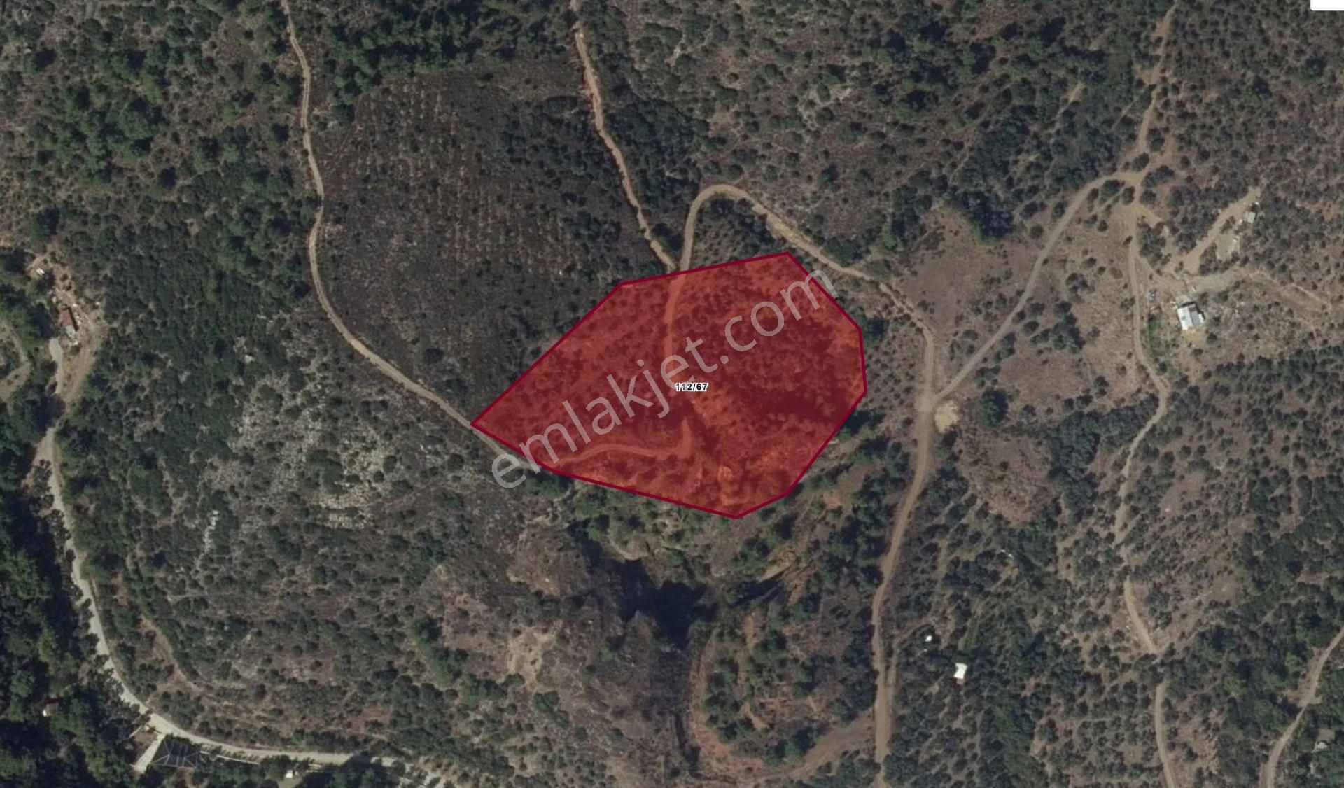 Bayındır'da 14.561 M2 Ve 300 Adet Ağaçlı Satılık Zeytinlik