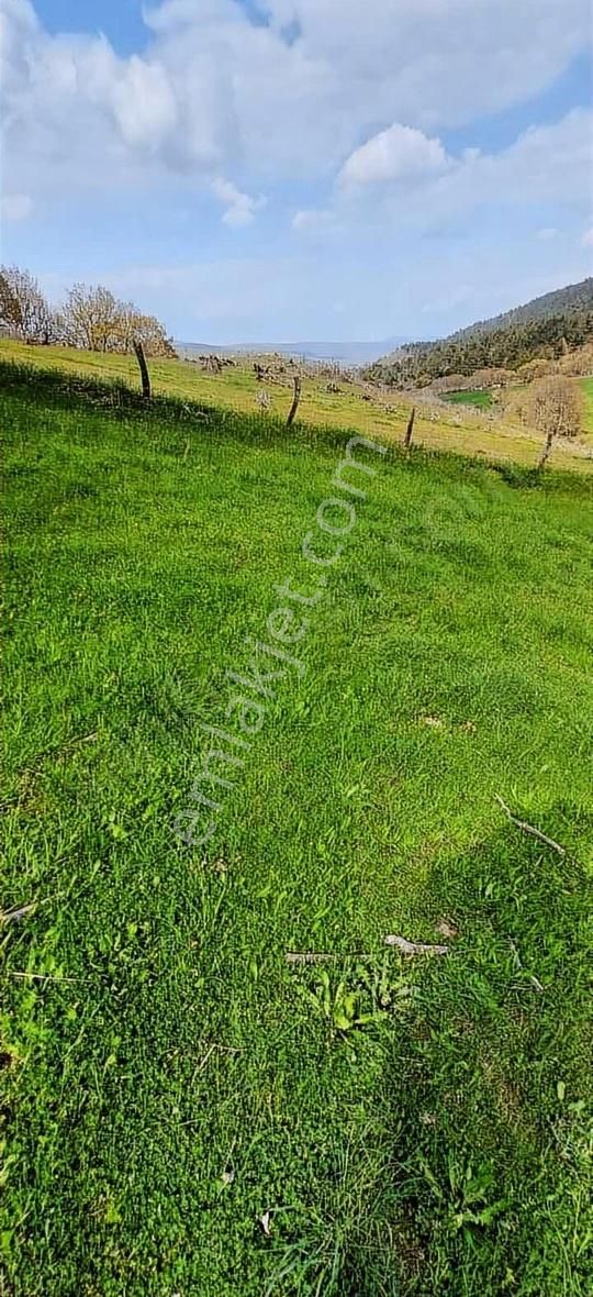 Balıkesir İvrindi 2.300 M2 İlçe Merkezine Yakın Arazi
