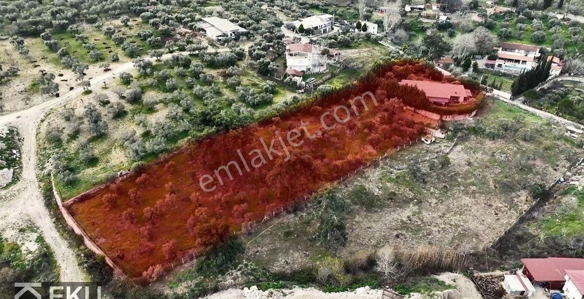 Kuşadası’nda Satılık Tek Katlı Müstakil Villa Ev