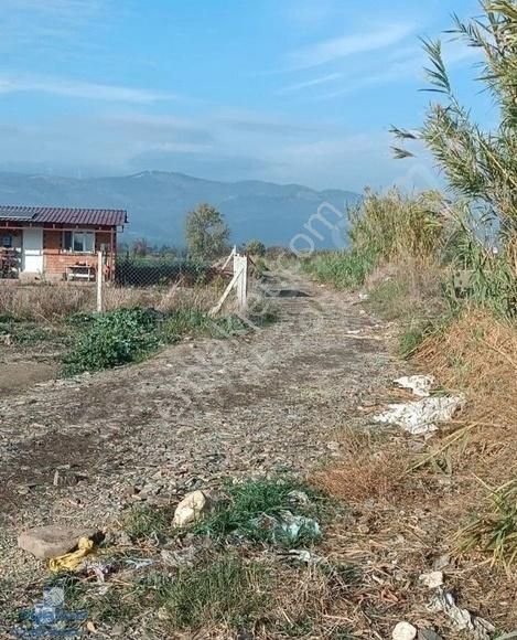 Turyap'tan Bayındır Çiftçigediği'nde 9.900 M2 Tek Tapu Tarla