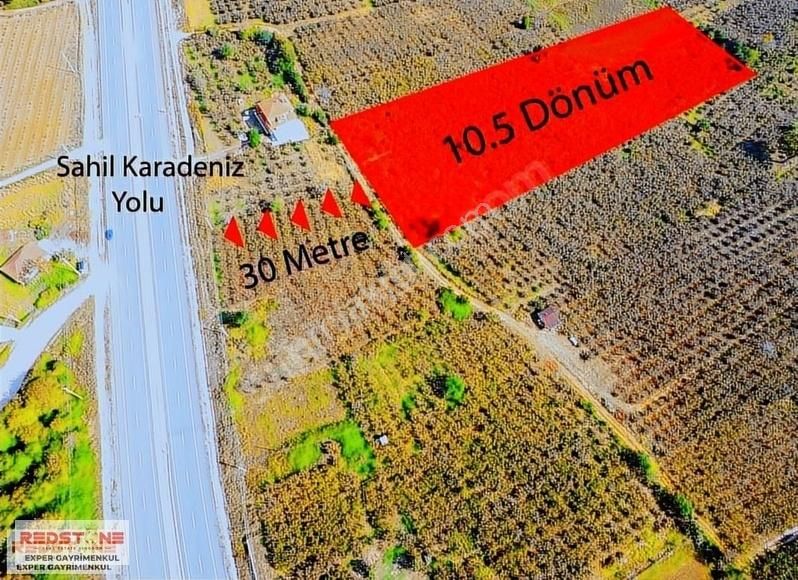Redstone Exper'den Anayola Yakın İmar Sınırında 10.5 Dönüm Bahçe