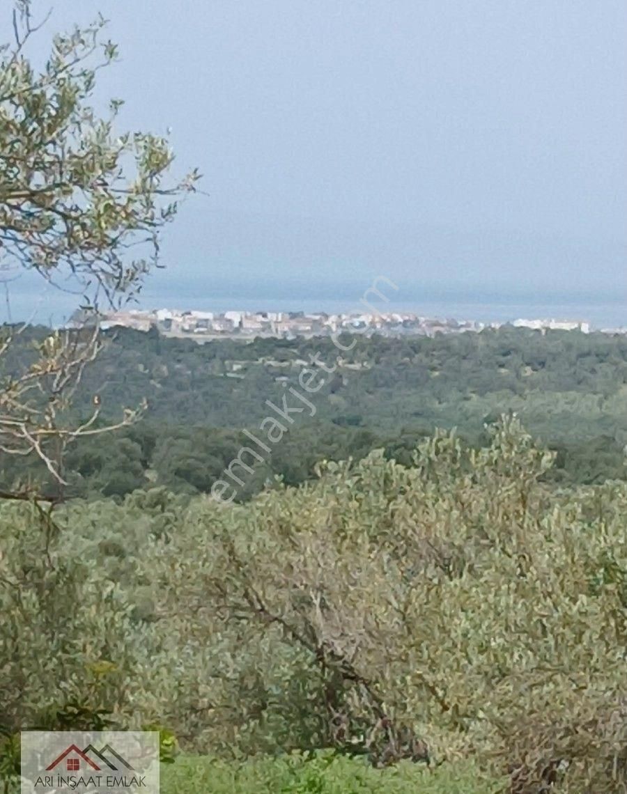 Ayvalık Gazikemal Mevkii Full Deniz Manzaralı Fiyat Uygun Yazılmıstır
