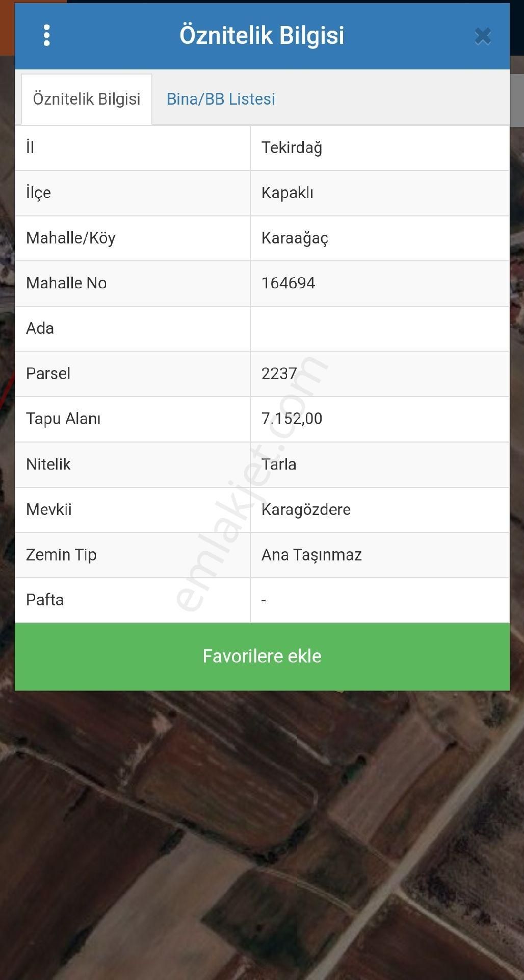 Kapaklı Karaağaç