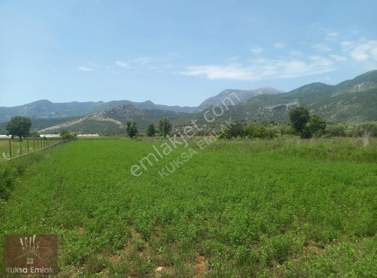 Muğla Seydikemer Kabaağaç Mah 3800m2 Tarla