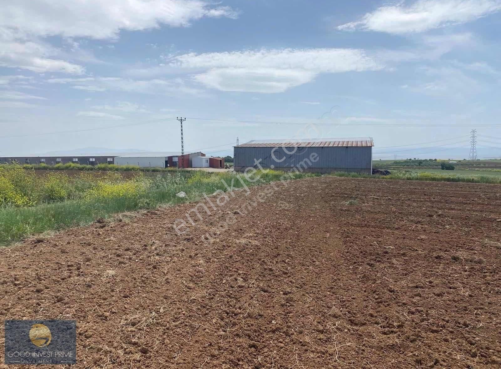 Balıkesir-bandırma Yatırım İçin Fırsat Satılık Tarla