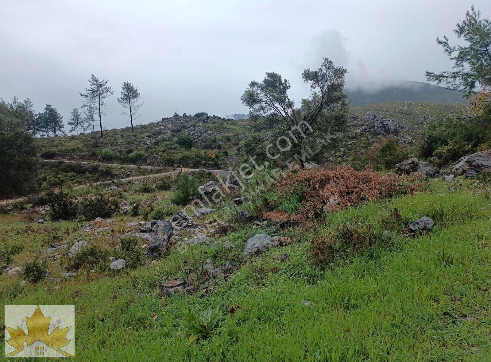 Çınar Emlakta Bodrum Gökpınarda Kadastral Yola Cepheli Tarla