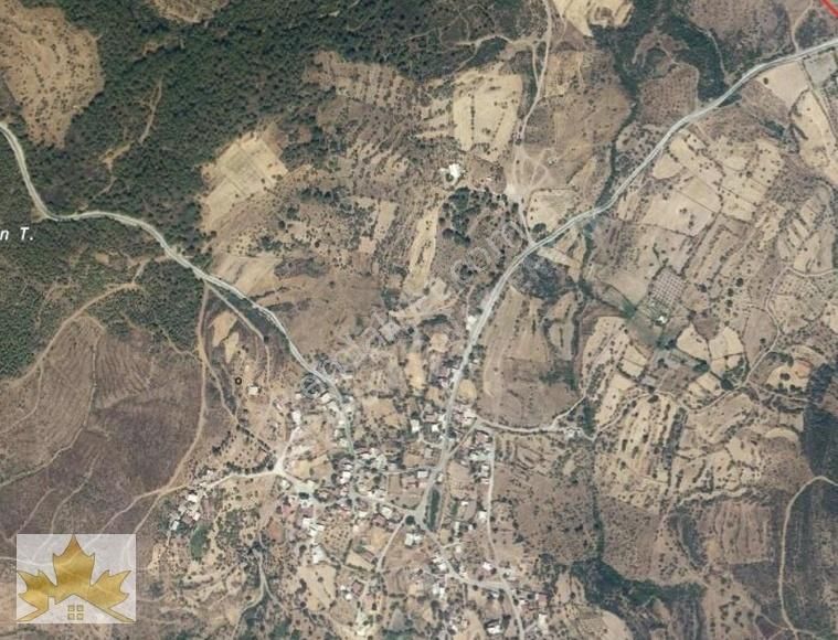 Çınar Emlaktan Mumcular Bayırda Takasa Açık Zeytinlik