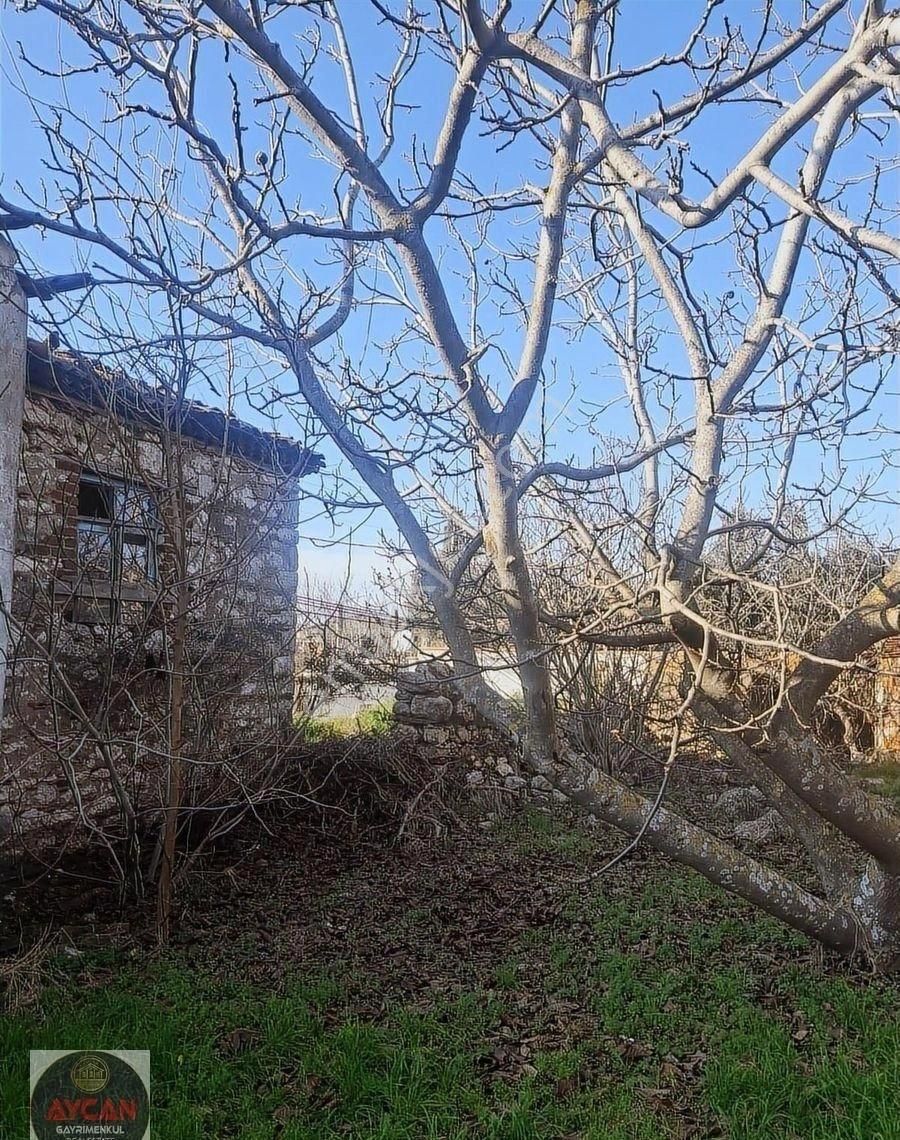 Aycan Gayrimenkulden Bandırma Akçapınarda Satılık 465 M2 Arsa - Görsel 3