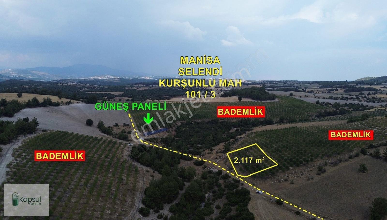 Hazır Bademlik / Manisa / 2.117 M² / Manisa / Selendi / Kurşunlu - Görsel 2