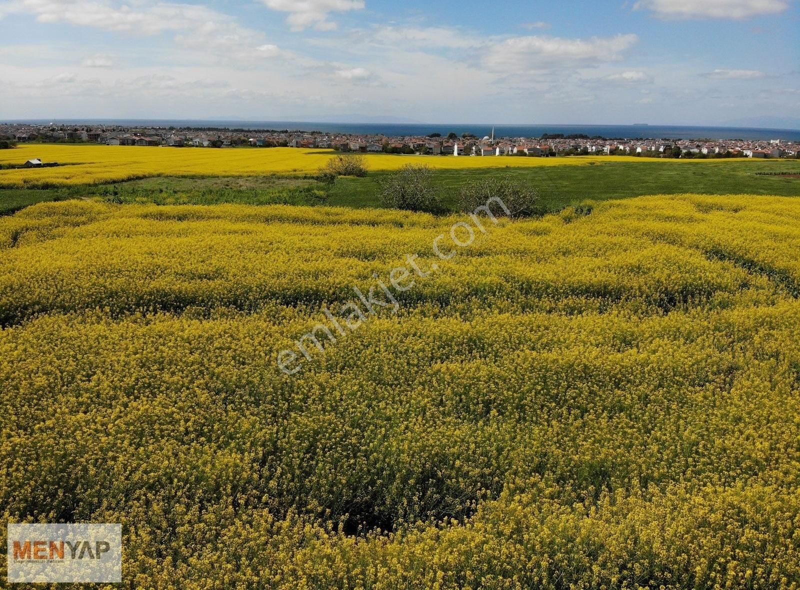 Tekirdağ Yeniçiftlik'te Tek Tapu 1.590 M2 Tarla-bağ Yeri