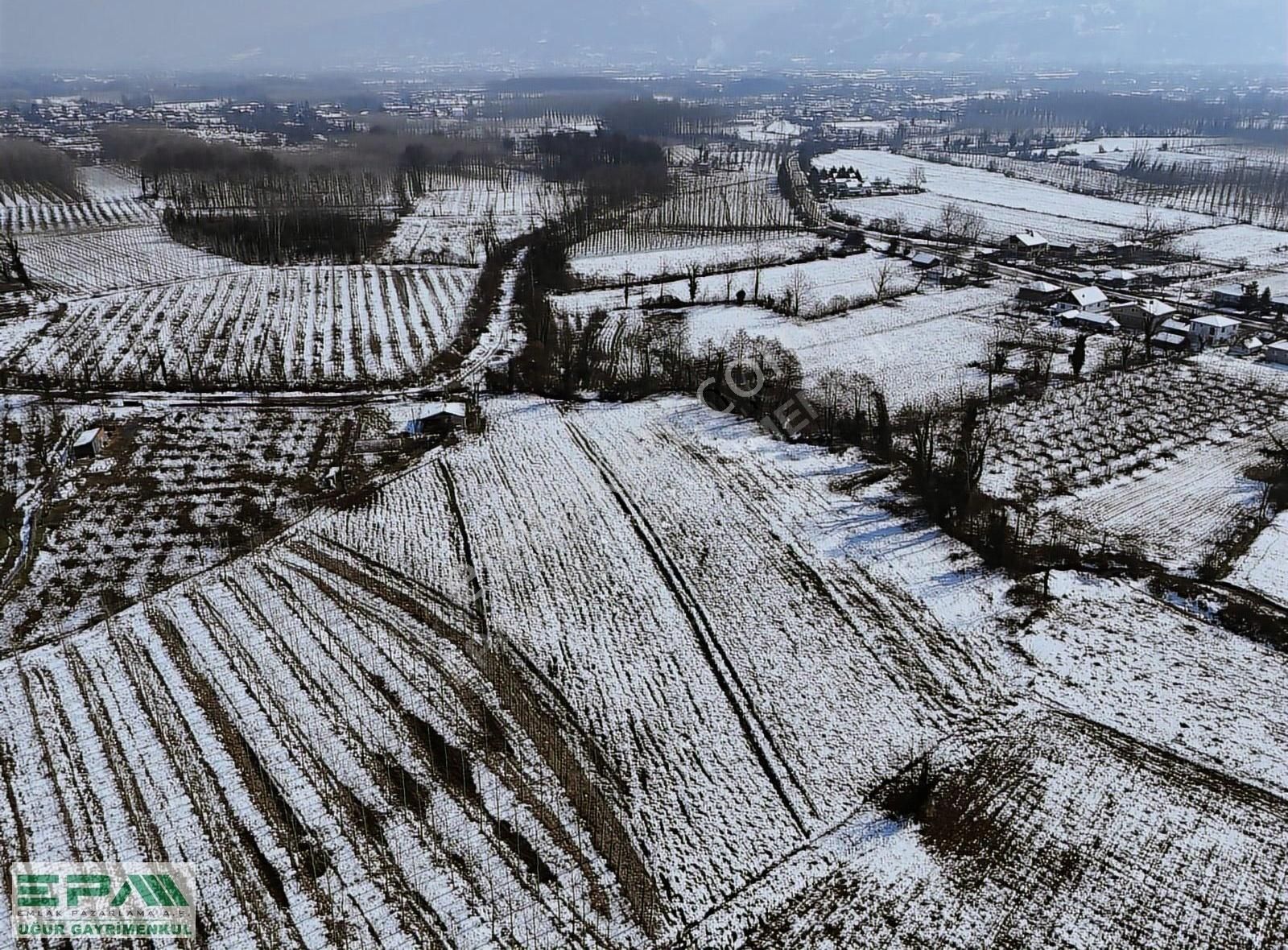 | Epa Uğur | Düzce Bataklı Çiftlik'de 8 Dönüm Satılık Arsa