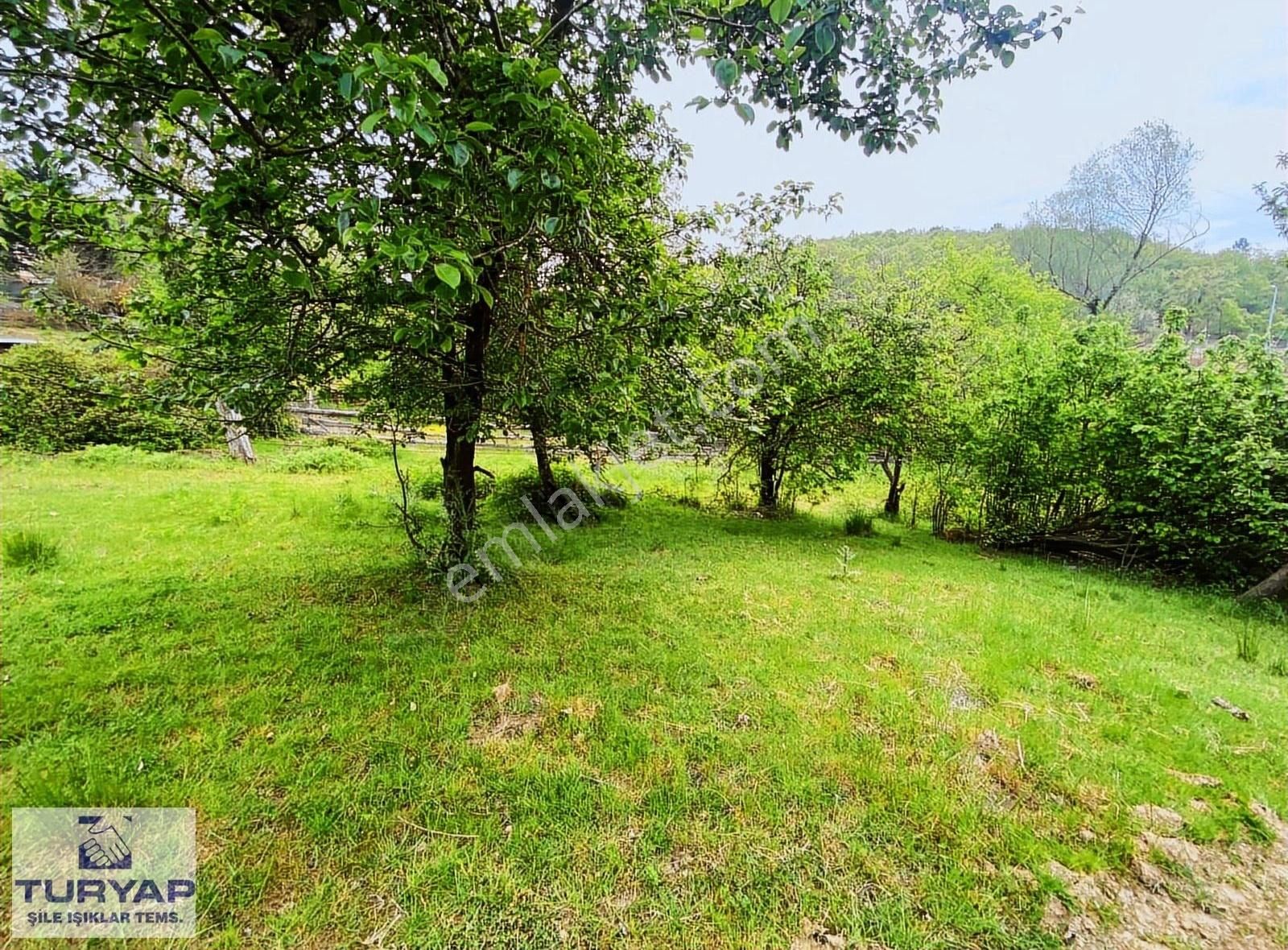Turyap'tan Şile Kervansaray Köyünde Satılık İmarlı Arsa - Görsel 4