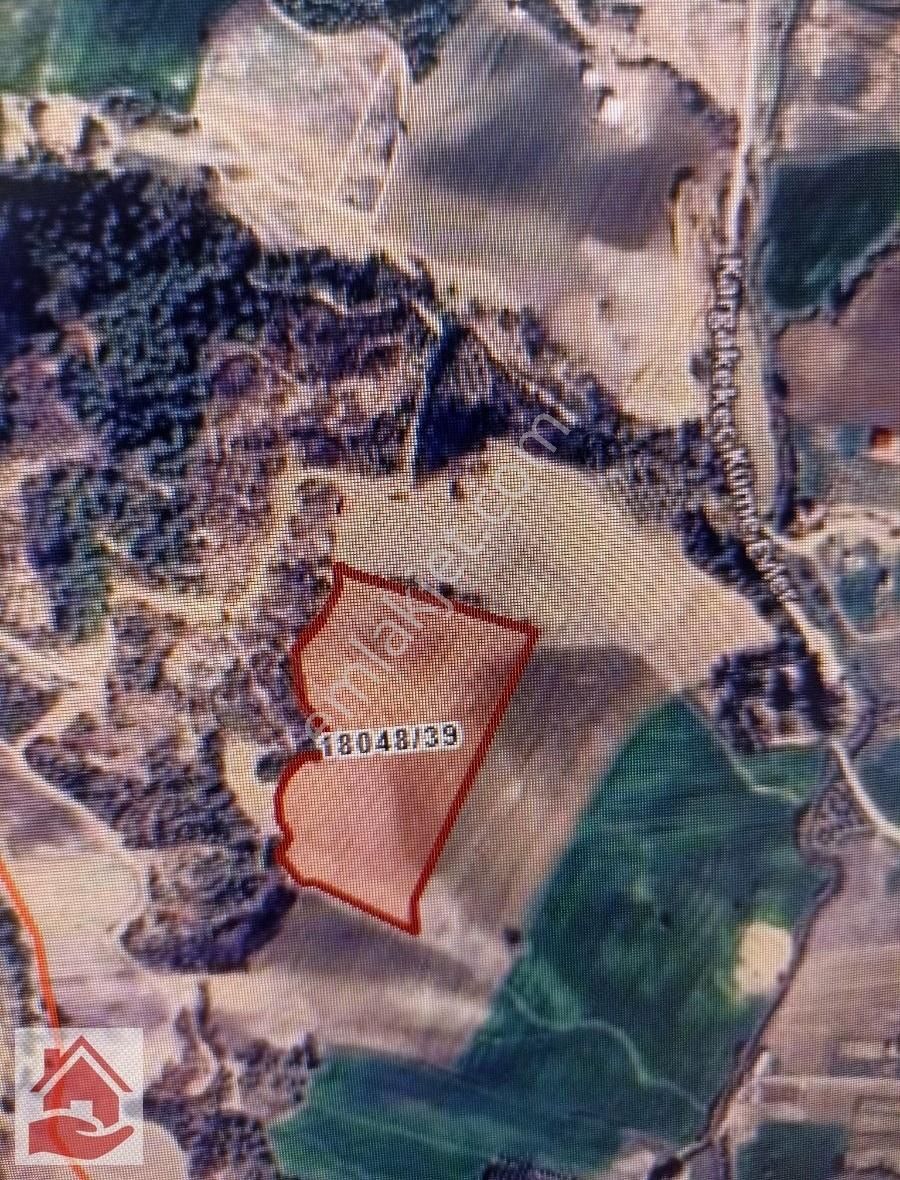 Kargakekeç Yeri Belli Telle Çevrili 470 Metre Hissemiz Satılık